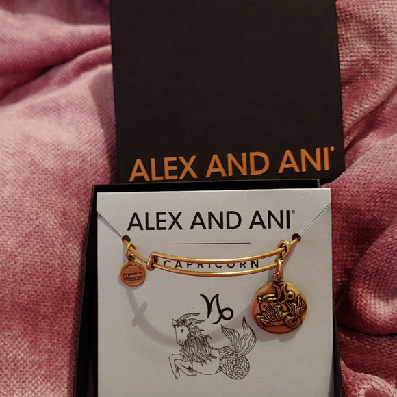 Alex and Ani Capricorn gold bangle - Picture 2 of 3